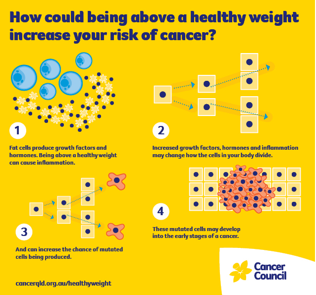 Maintain A Healthy Weight Cancer Council Queensland